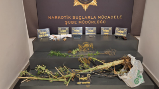 Rize’de Uyuşturucu Operasyon: 13 Şahıs Yakalandı