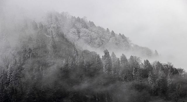 Rize'de kar yükseklerde başladı, sahile geliyor