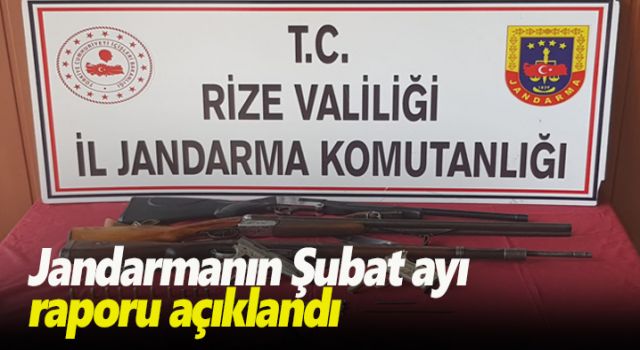 Jandarmanın Şubat ayı raporu açıklandı