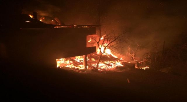Artvin'de korkutan yangın: 4 ev zarar gördü