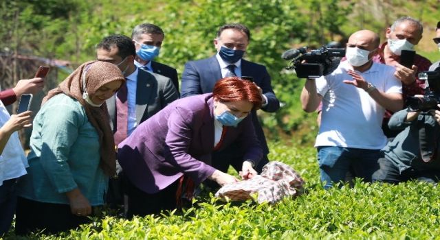 Akşener, Rize'de köylerine taş ocağı açılmasını istemeyen kadınlarla görüştü