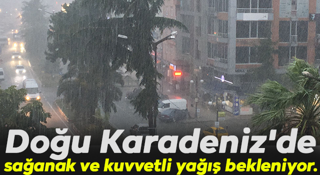 Doğu Karadeniz'de, sağanak ve kuvvetli yağış bekleniyor.