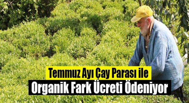 Temmuz Ayı Çay Parası ile Organik Fark Ücreti Ödeniyor