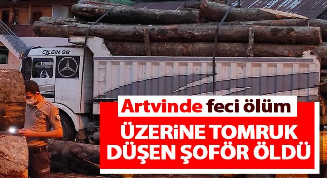 Üzerine tomruk düşen kamyon şoförü öldü