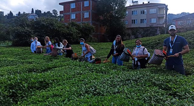 Erasmus Projesi Playful Englısh İçin Düğmeye Basıldı