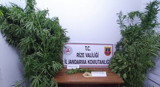 Rize'de uyuşturucu madde operasyonu.