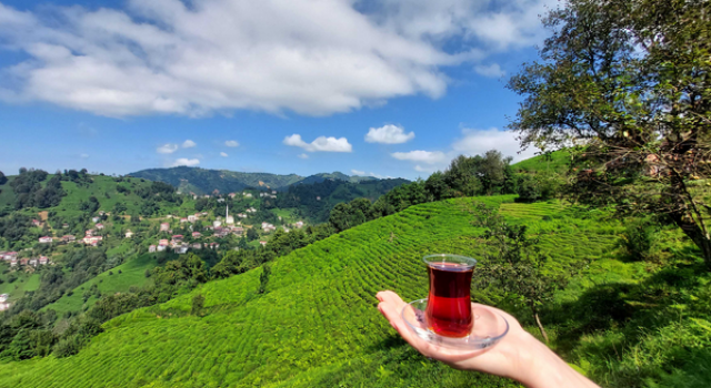 Pandemide çay içildi, tüketim kişi başı 4 kiloya çıktı