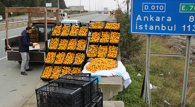 Rize mandalinası tezgaha indi