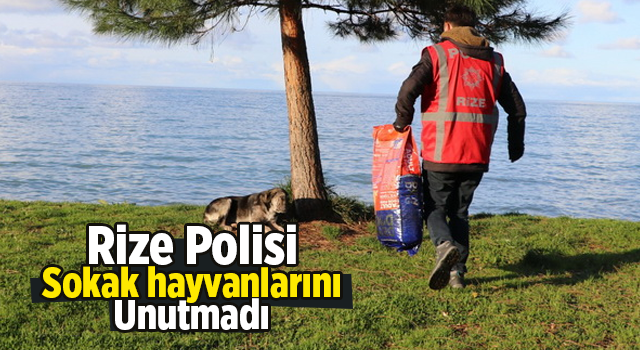 Rize polisi sokak hayvanlarını unutmadı