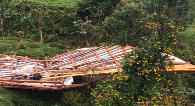 Rize’de Şiddetli Fırtına Çatıları Uçurdu