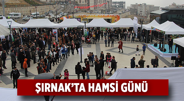 Şırnak'ta 'Hamsi Günü' Etkinliğinde 1,5 Ton Hamsi İkram Edildi