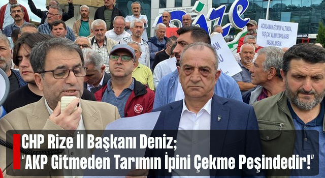 Deniz: AKP Hükümeti Gider Ayak Çay Tarımının İpini Çekmeye Çalışmaktadır