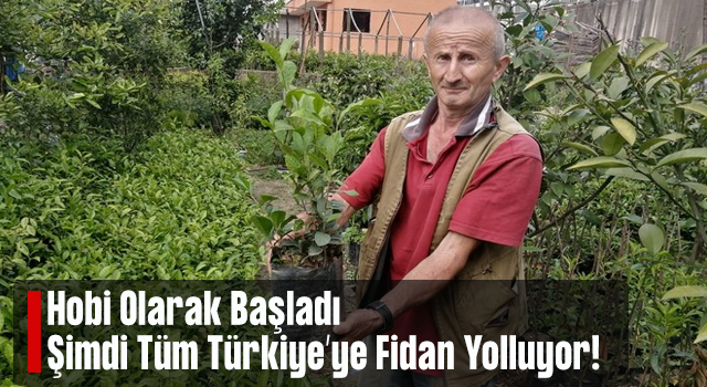 Emekli Olduktan Sonra Hobi Olarak Başladığı Fidan Yetiştiriciliği Mesleği Oldu