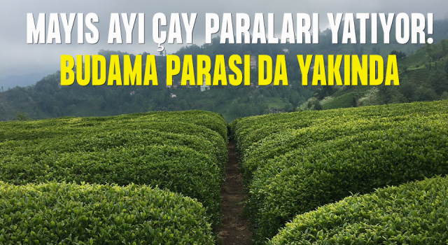 Mayıs Ayı Çay Paraları Ödeniyor