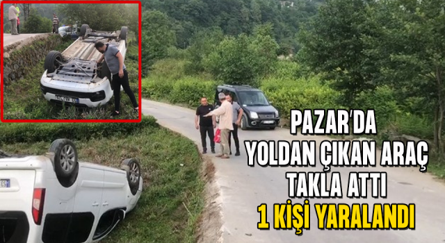 Rize'de kamyonetin çay bahçesine devrildiği kazada 1 kişi yaralandı