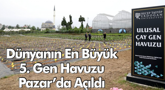 Türk çayının geleceğini koruyacak "Ulusal Çay Gen Havuzu" açıldı