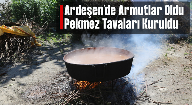 Ardeşen’de Pekmez Tavaları Kuruldu.