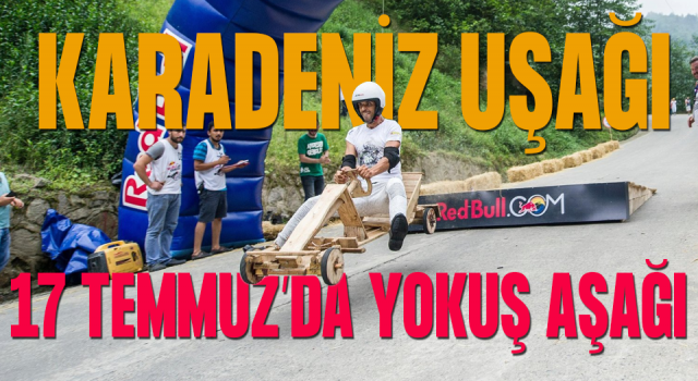 Red Bull Formulaz 17 Temmuz'da düzenlenecek