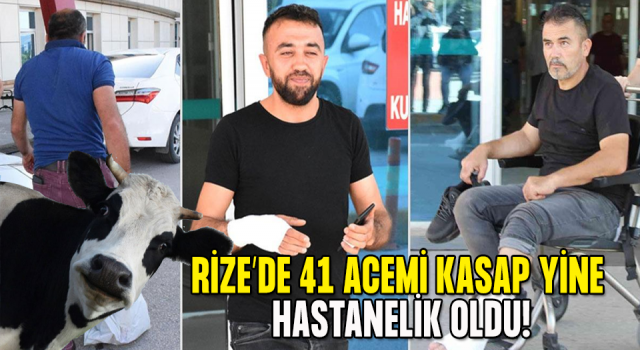 Rize'de 41 acemi kasap hastanelik oldu