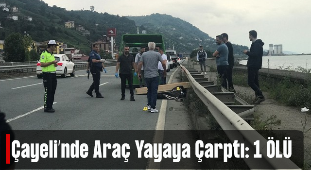 Rize'de Otomobilin Çarptığı Yaya Hayatını Kaybetti