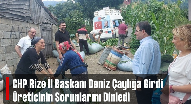 CHP, Rize’de Üreticiyi Çay Bahçesinde Ziyaret Edip Sorun Dinledi