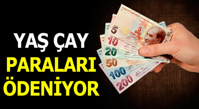 ÇAYKUR’un Çay Parası ile Organik Farkları Ödeme Günü Belli Oldu