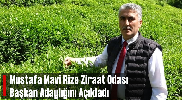 Rize Ziraat Odasında Mustafa Mavi Rüzgarı!