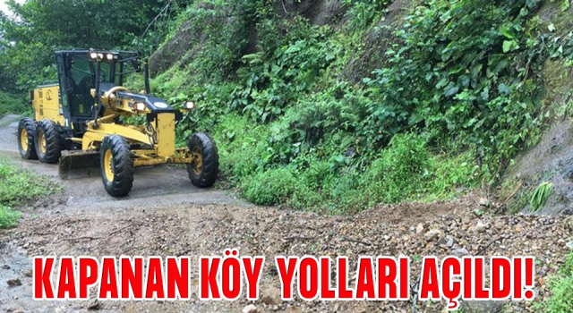 Rize'de yağışın ardından toprak kayması nedeniyle kapanan köy yolları ulaşıma açıldı