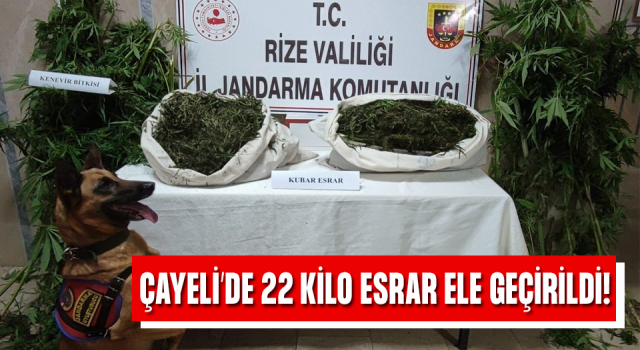 Rize'de 22 kilogram esrar ele geçirildi, 3 şüpheli yakalandı