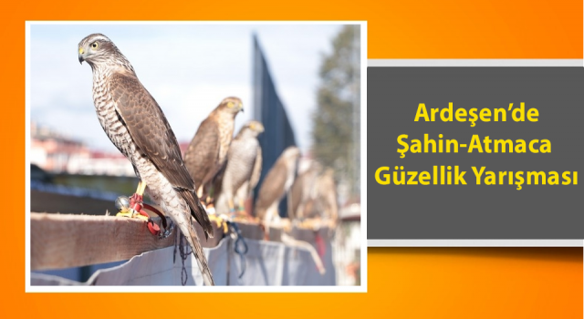 Rize'de Atmaca ve Şahin Güzellik Festivali Düzenlendi