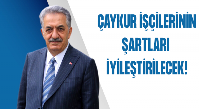 Yazıcı: ÇAYKUR Mevsimlik İşçilerinin Çalışma Şartları İyileştirilecek