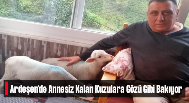 Annesinden ayrı kalan İkiz kuzuya evini açtı. Kuzulara Evinin Balkonunda gözü gibi bakıyor.