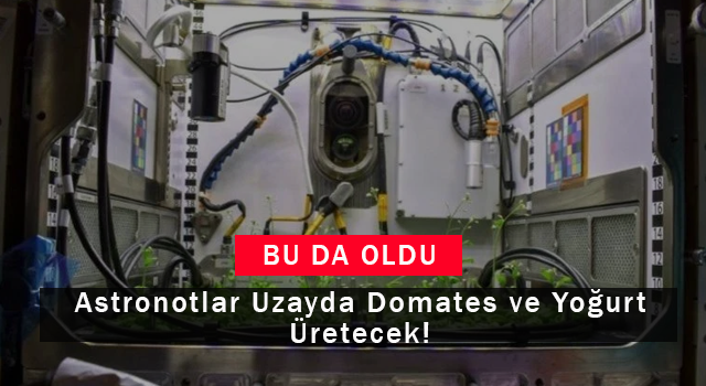 Astronotlar Uzayda Domates ve Yoğurt Üretecek!