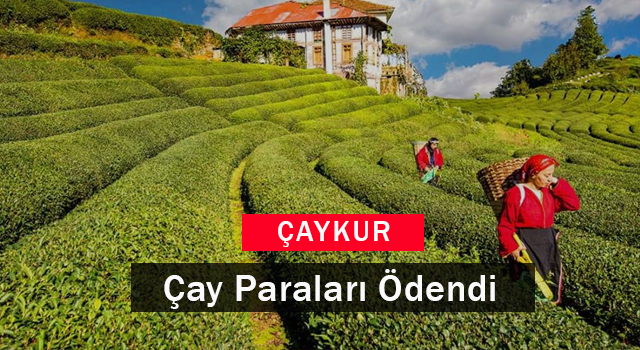 Çaykur Çay Paraları Ödendi