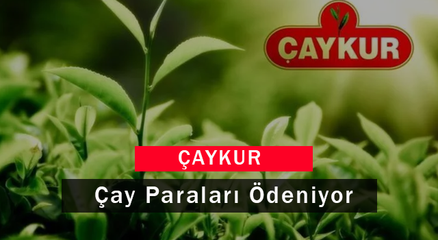 Çaykur Çay Paraları Ödeniyor