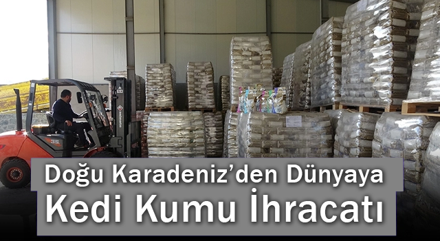 Doğu Karadeniz'den Dünyaya Kedi Kumu İhracatı