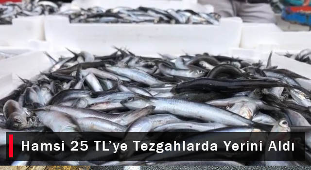 Hamsi 25 TL’ye Tezgahlarda Yerini Aldı