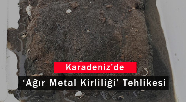 Karadeniz'de 'Ağır Metal Kirliliği' Tehlikesi