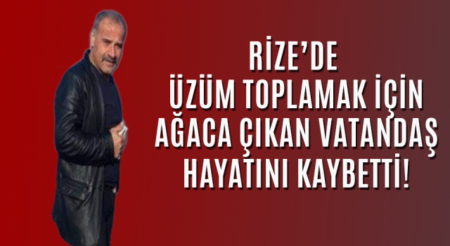 Rize’de Ağaçtan Düşen Kişi Hayatını Kaybetti