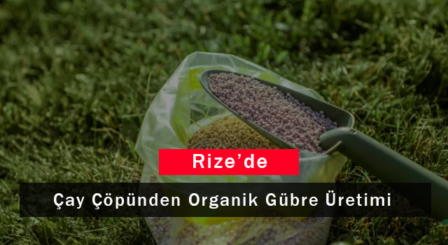 Rize'de Çay Çöpünden Organik Gübre Üretimi