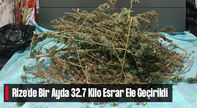 Rize'de jandarma ekipleri son bir ayda 32,7 kilogram esrar ele geçirdi