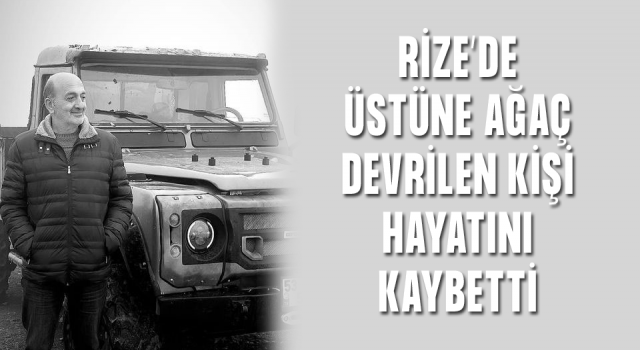 Rize'de Üstüne Ağaç Devrilen Kişi Hayatını Kaybetti