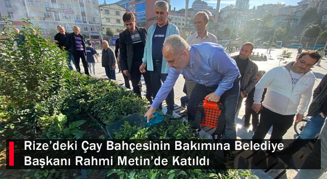 Rize’deki Çay Bahçesinin Bakımına Belediye Başkanı Rahmi Metin’de Katıldı