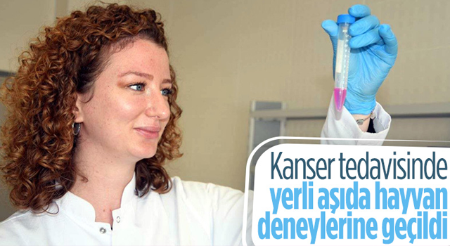 Türkiye'de kanser aşısı çalışmalarında hayvan deneylerine geçiliyor