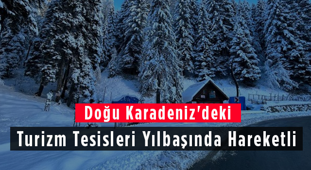 Doğu Karadeniz'deki Turizm Tesisleri Yılbaşında Hareketli