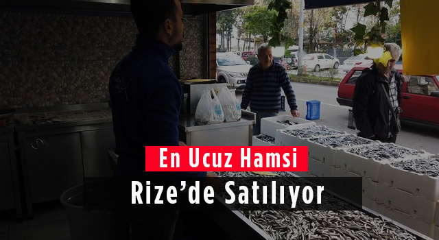 En Ucuz Hamsi Rize'de Satılıyor