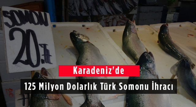 Karadeniz'de 125 Milyon Dolarlık Türk Somonu İhracı
