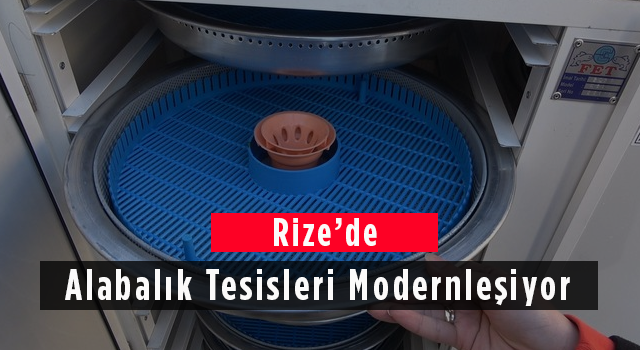 Rize’de Alabalık Tesisleri Modernleşiyor