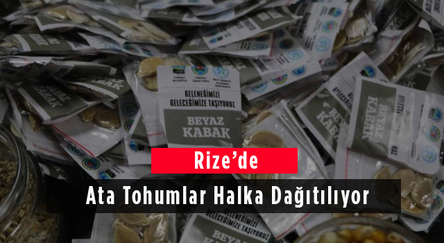 Rize'de Ata Tohumlar Halka Dağıtılıyor