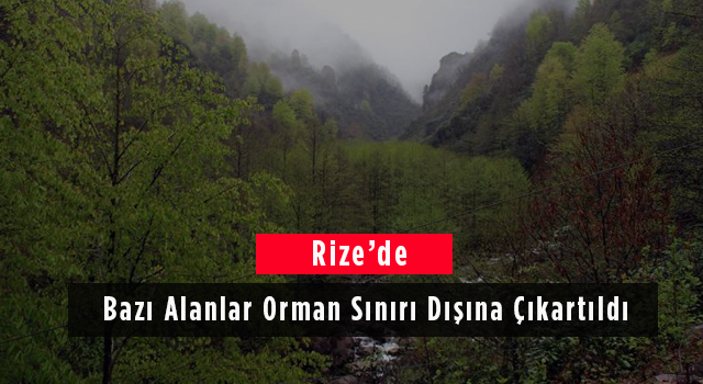 Rize’de Bazı Alanlar Orman Sınırı Dışına Çıkartıldı